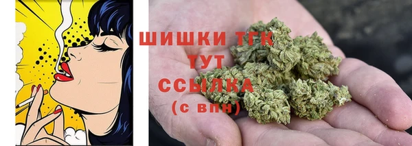 стаф Заволжье