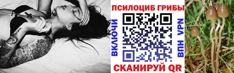 Купить  Маркс  Псилоцибиновые грибы мухоморы 